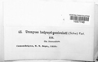 Image Associated With the Occurence